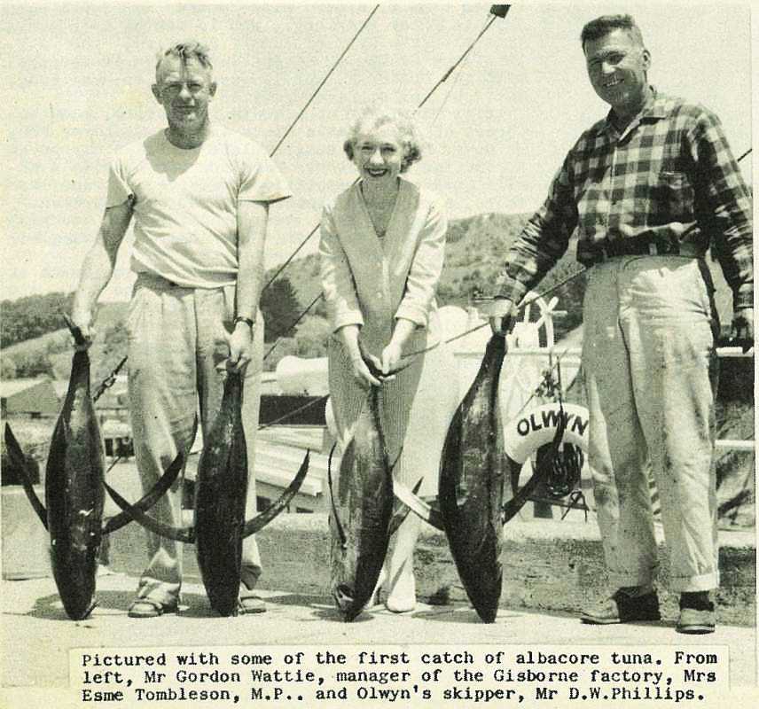 Tuna For Export - Gisborne Photo News - No 91 : January 25, 1962